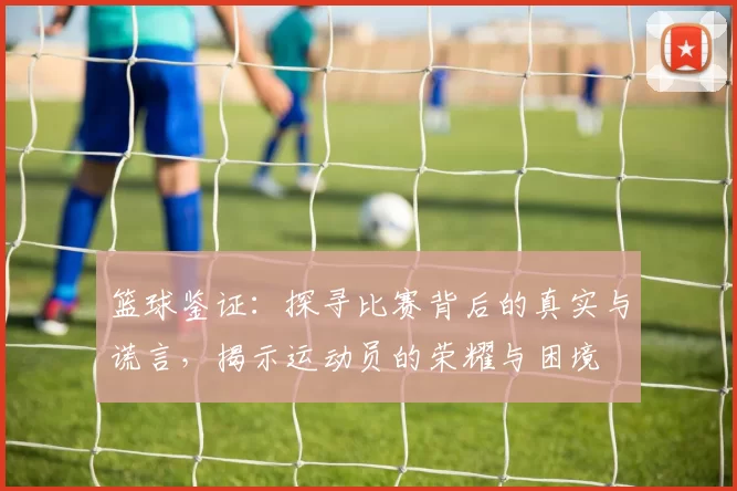 篮球鉴证：探寻比赛背后的真实与谎言，揭示运动员的荣耀与困境