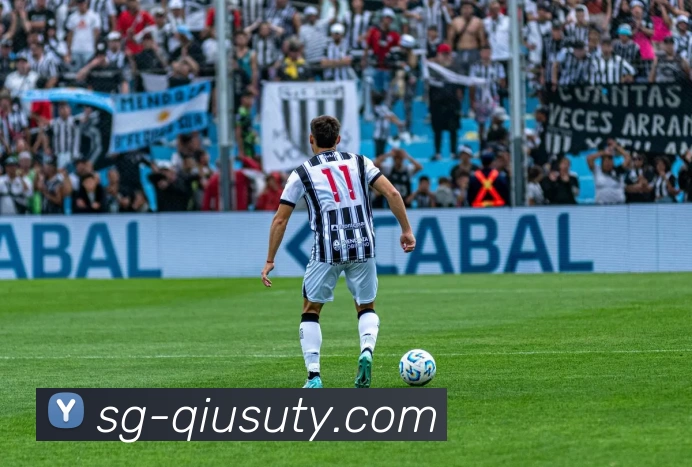 球速体育APP 封面图