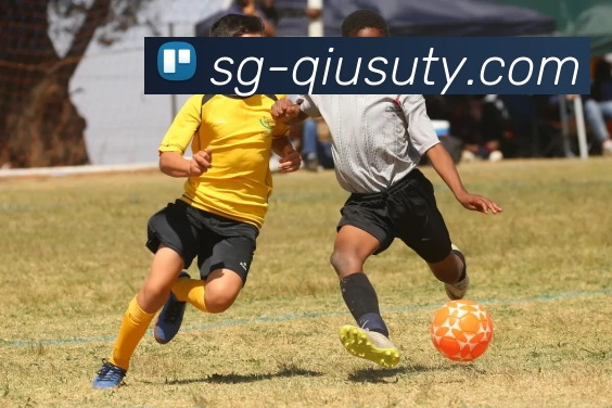 数据防护可视化